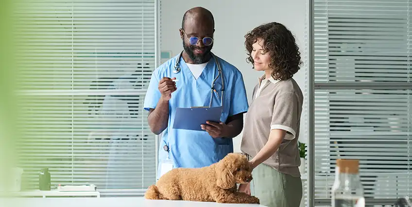 Veterinary Clinic Loans in Texas: Finance a New Veterinary Practice