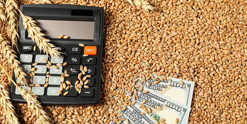 Comparing the Best Farm Financing Options for Equipment, Land, and Livestock