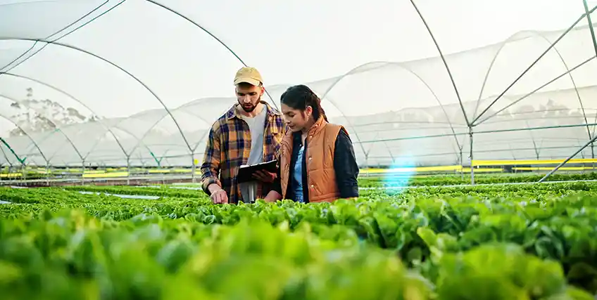 Farming Loans and Grants: The Best Funding Programs for Modern Farmers