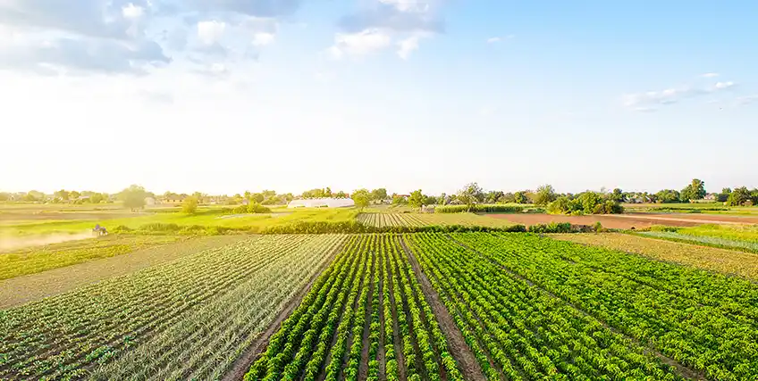 How Farming Grants Can Help Small Farms Increase Profitability