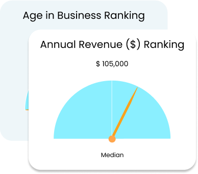 Track Business Finances