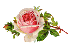 Florist contacted Biz2Credit to obtain funding - Biz2credit