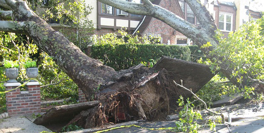 SBA Disaster Loan