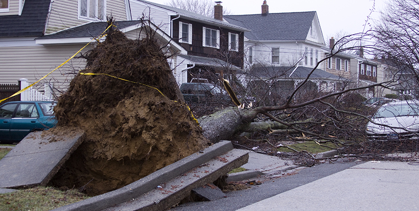 Hurricane Ida Recovery Resources