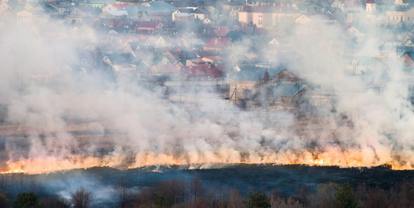 Small Business Recovery Resources for 2022 Wildfires Small Business Recovery Resources